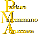 Pastore Maremmano-Abruzzese